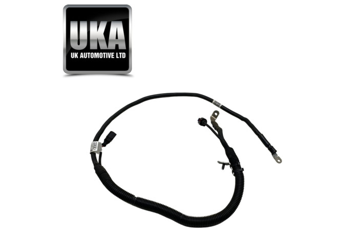 LOOM 4M8971228 AUDI Q8 RS RSQ8 4.0 TFSI PETROL TURBO 2021 WIRING HARNESS