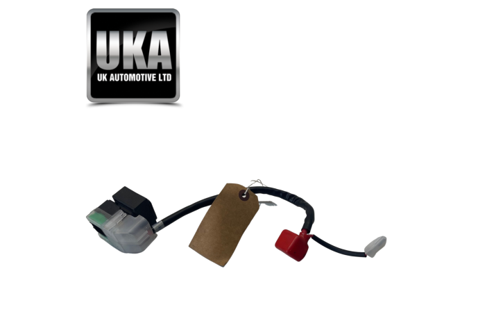 POSITIVE FUSE LEAD SUZUKI SV650 AL9 2020 99 MILES ONLY