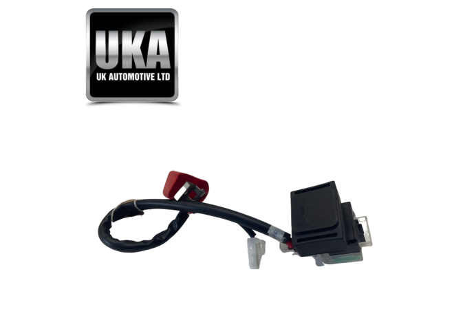 POSITIVE FUSE LEAD SUZUKI SV650 AL9 2020 99 MILES ONLY