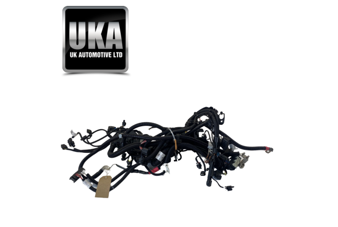 LOOM BMW MINI MK4 F55 1.2 2016 PETROL FULL ENGINE WIRING LOOM HARNESS